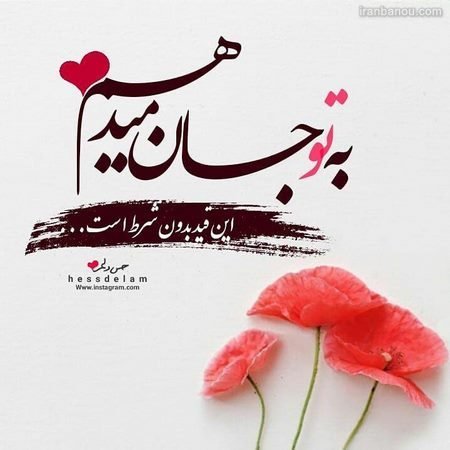  عکس HD | دانلود تصاویر باکیفیت