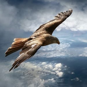  عکس HD | دانلود تصاویر باکیفیت