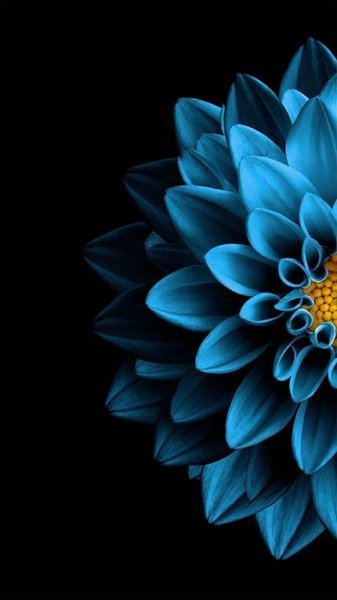  والپیپر ۸ بعدی متحرک دخترانه