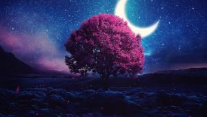  والپیپر متحرک برای کامپیوتر