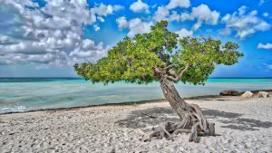  والپیپر متحرک برای کامپیوتر