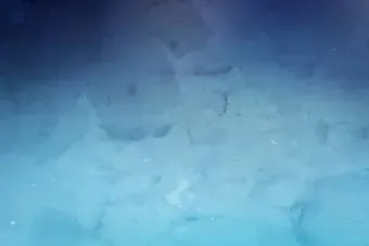  بک گراند ابی
