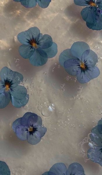 والپیپر بنفش