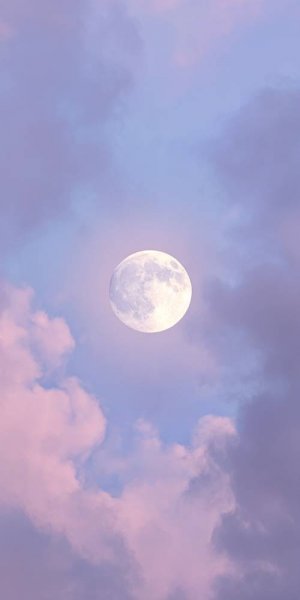 عکس پس زمینه بنفش ساده