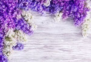  پس زمینه یاسی