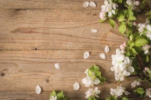  پس زمینه یاسی