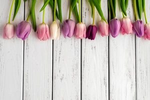  پس زمینه یاسی
