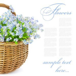  پس زمینه یاسی