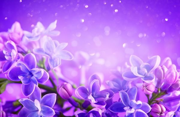  پس زمینه یاسی