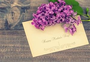  پس زمینه یاسی