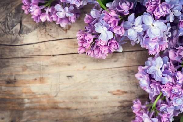  پس زمینه یاسی