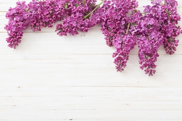  پس زمینه یاسی