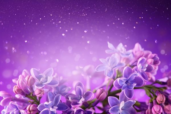  پس زمینه یاسی