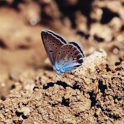  دانلود والپیپر با کیفیت 16k برای لپ تاپ