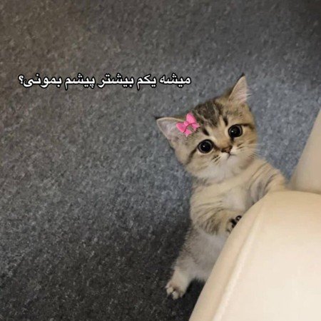 عکس زوتوپیا شانسی