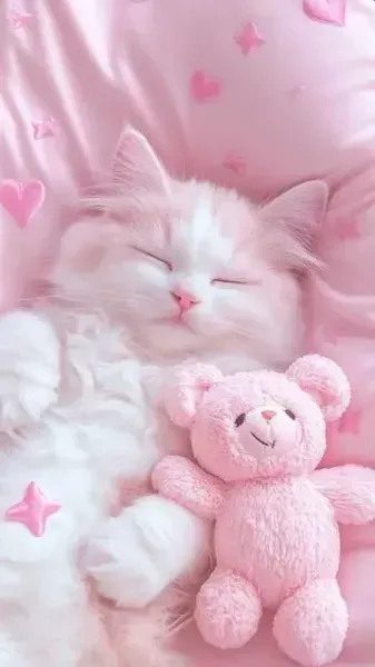  پس زمینه صورتی عروسکی