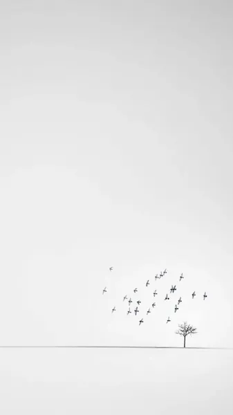  دانلود والپیپر برای گوشی سامسونگ