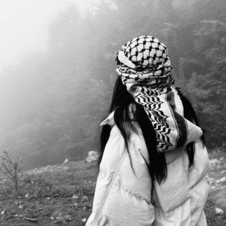  دانلود والپیپر جنگل