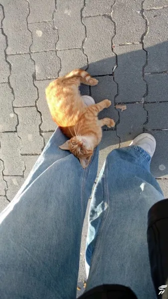  عکس دخترونه خفن