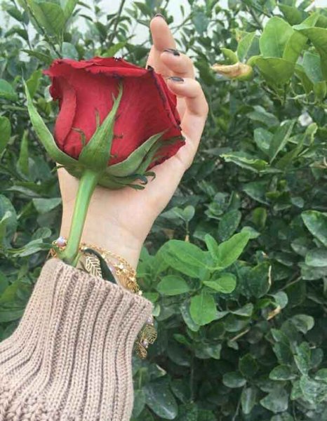  عکس دخترانه پروفایل خفن