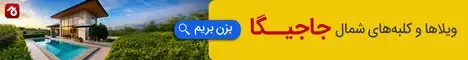  بازیگران زن ترکیه و همسرانشان با عکس