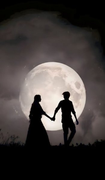  عکس والپیپر عاشقانه دونفره