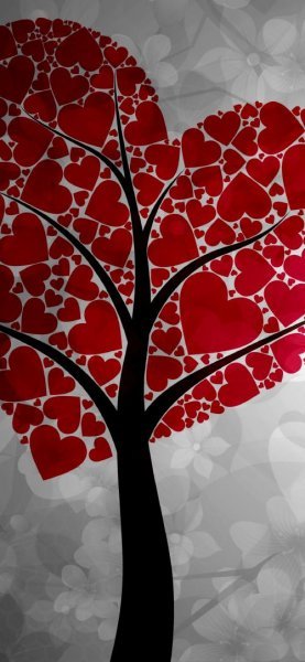  عکس پس زمینه پیام عاشقانه