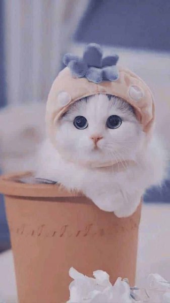  تم پیام رسان ایفون
