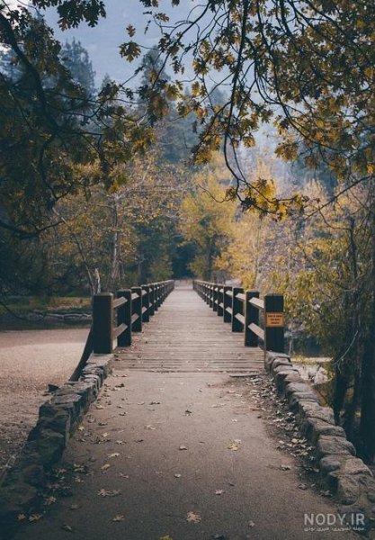  پس زمینه تماس