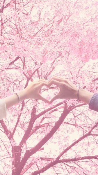  والپیپر تماس عاشقانه