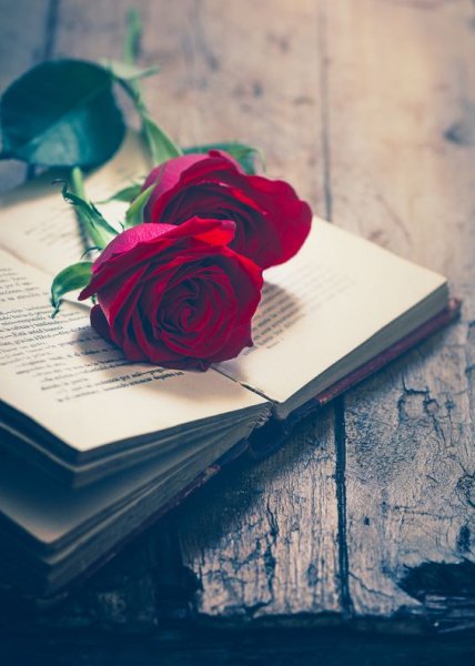  والپیپر تماس عاشقانه