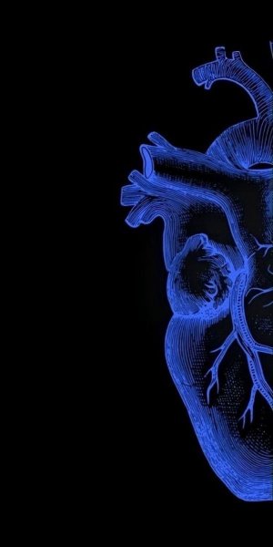  والپیپر ست عاشقانه تلگرام