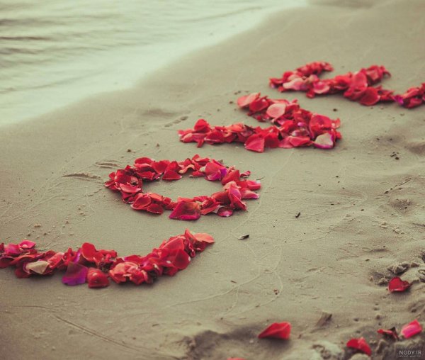  تم عاشقانه گوشی سامسونگ