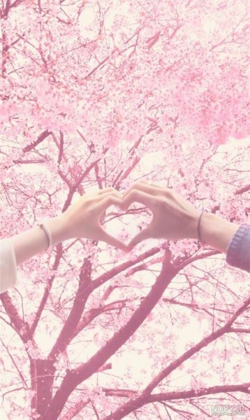  تم عاشقانه گوشی سامسونگ