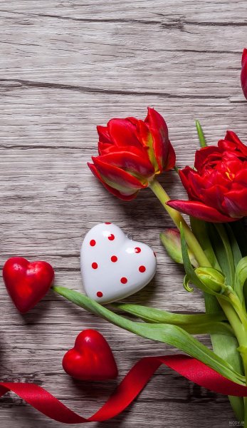 تم عاشقانه گوشی سامسونگ