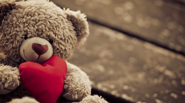  والپیپر خرسی عاشقانه