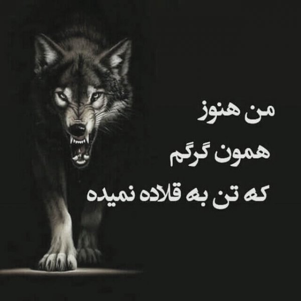 عکس عاشقانه سیاه سفید با متن