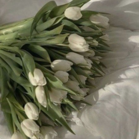  وایب سبز پاستیلی