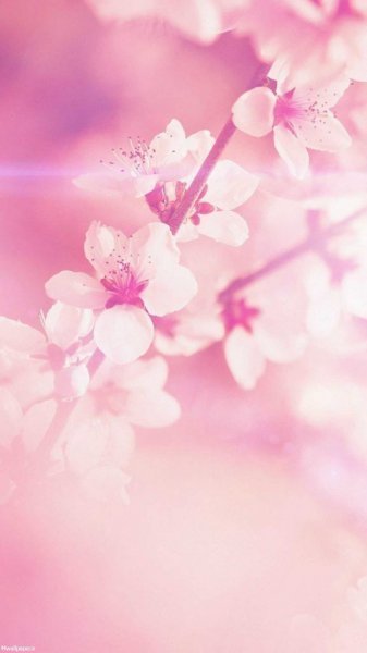 والپیپر فانتزی دخترانه
