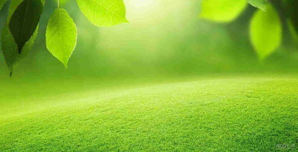 عکس والپیپر سبز ساده