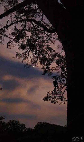  والپیپر کلاسیک دخترانه
