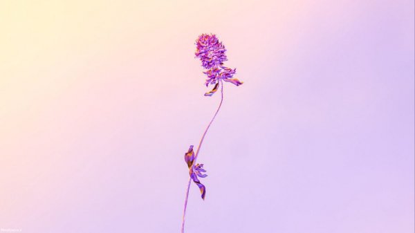  والپیپر مینیمال