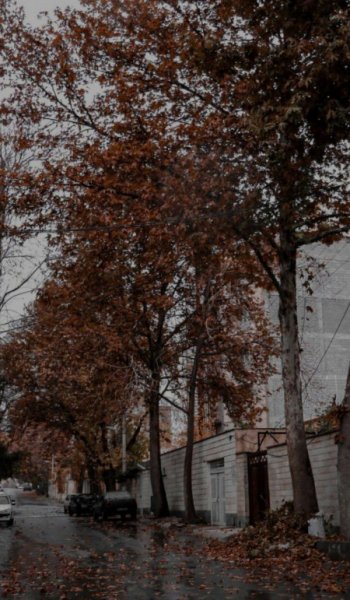  پروفایل عکس پاییزی