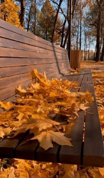  پروفایل عکس پاییزی
