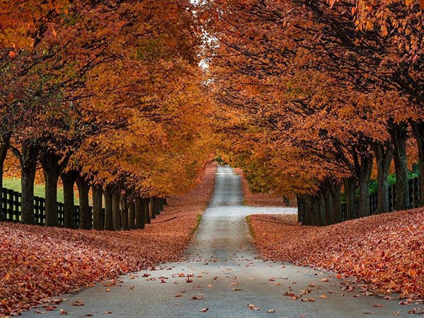  عکس پاییز پینترستی