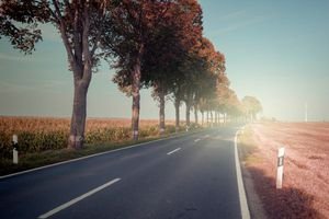  عکس پاییز کارتونی