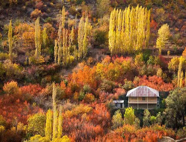  عکس پاییز کیوت