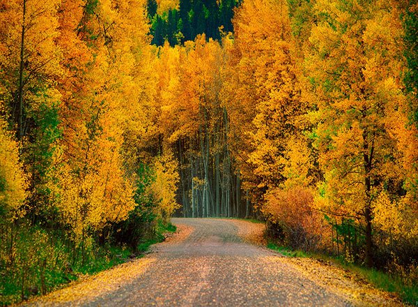  عکس پاییز کیوت