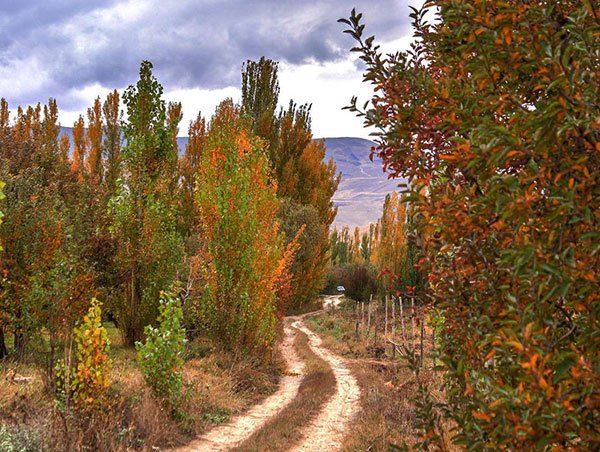  عکس پاییز کیوت