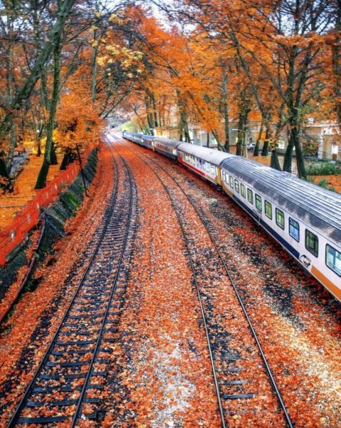  عکس پاییز ایستگاه بیشه